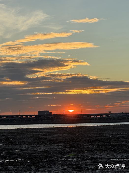宝安西湾红树林湿地公园图片