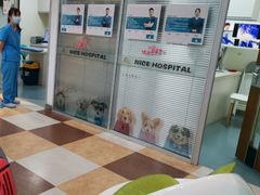 -奈斯宠物医院·核磁CT·异宠专科·内镜(中南店)