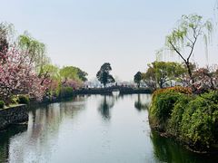 -无锡蠡湖国家湿地公园-蠡园