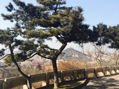 -青岛海滨风景区小鱼山
