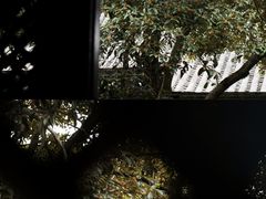 -宁波市保国寺古建筑博物馆