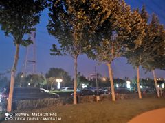 -九十九顶毡房(阜石路店)