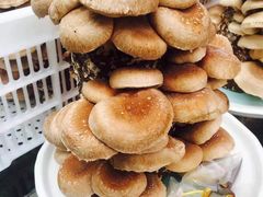 -先机泉水鸡汤(南山老君洞店)