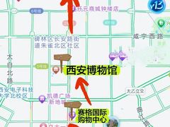 -大唐不夜城