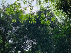 -麓湖高尔夫球俱乐部