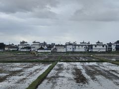 -喜林苑·稻田餐厅(品相府店)