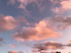 -海德公园