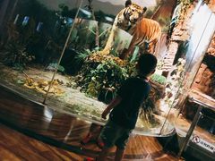 -陕西自然博物馆