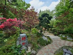 -上海醉白池公园