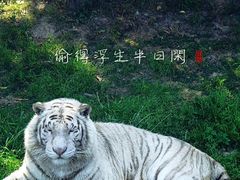 -上海野生动物园