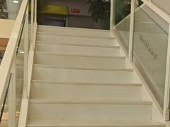 -大麦嘉动物奶油生日蛋糕(军分区新建北路店)