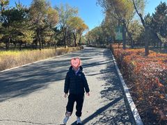 -鄂尔多斯野生动物园