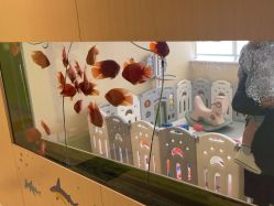 -杭州贝瑞斯美华妇儿医院·早孕·产检·儿科