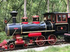 -合肥滨湖国家森林公园