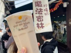 柠檬奶-猫的魔法密林(衣裳街店)