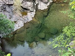 -安吉龙王山风景区