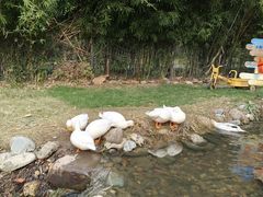 -HERRE·FARM 赫尔露营农场·团建聚会包场