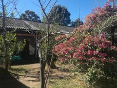-朝伟清真铜瓢牛肉馆(三十年老·店)