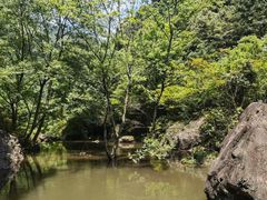 -刘伯温故里景区百丈漈