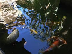 iphone_upload_pic-三亚亚龙湾五号度假别墅酒店