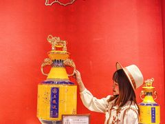 -合景·悠方(成都店)