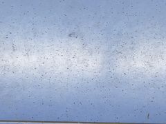 -石槽海滨浴场