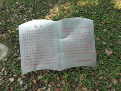 android_upload_pic-紫薇公园