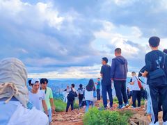 -长虫山生态公园风景林