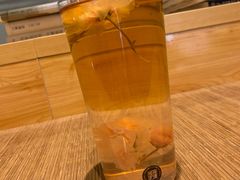 -柴务处·柴犬主题狗咖