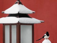 -故宫博物院(故宫)