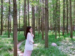 -河南省黄河迎宾馆