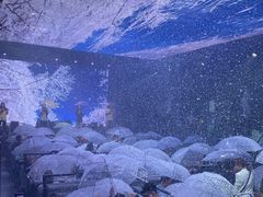 -M-MIX电音烤吧