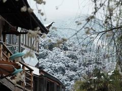 -嘉华鲜花饼(束河店)