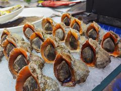 -宝轩渔府·老字号海鲜·正宗津菜(水上店)