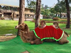 -深圳锦绣中华民俗村