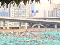 -新疆阿卜杜拉烧烤餐厅(四方坪店)