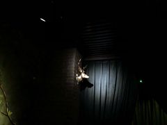 -格兰酒吧Glen Bar