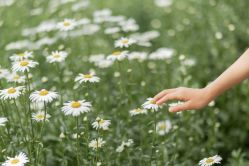 -DORA kids 朵拉儿童摄影花园店