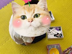 -金博智慧注意力感统训练(回龙观校区)