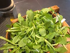 -老凯俚酸汤鱼(东山店)