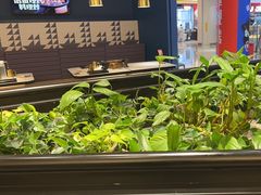 -一味一诚烤鱼(昌平悦荟店)