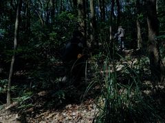 -广州市白云山风景名胜区