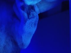 -暖阳宠物医院·犬猫康复中心·骨科