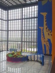 -南京市儿童医院(河西院区)