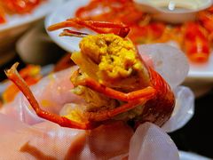 -红盔甲·小龙虾(人民广场店)