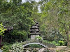 -深圳国际园林花卉博览园