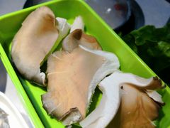 -哆来咪火锅烤肉自助(牌楼店)