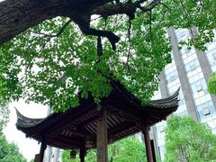 -龙潭水乡