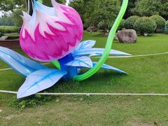 -荷塘月色湿地公园·向阳花洲