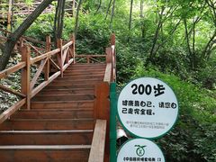 -大岭沟猕猴桃谷风景区